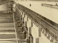 Biodiversity and Built Environment